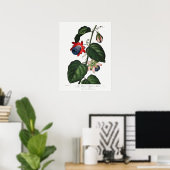 Poster Illustration botanique vintage (Bureau à domicile)