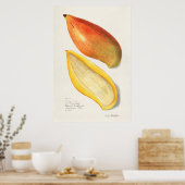 Poster Illustration botanique vintage (Cuisine)