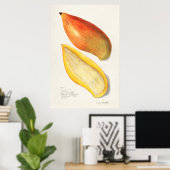 Poster Illustration botanique vintage (Bureau à domicile)