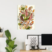 Poster Illustration botanique vintage (Bureau à domicile)