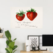 Poster Illustration botanique vintage (Bureau à domicile)