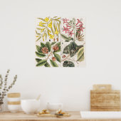 Poster Illustration botanique vintage (Cuisine)