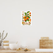 Poster Illustration Botanique Vintage d'Abricot (Cuisine)