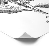 Poster Illustration botanique Vintage du quinoa (Coin)