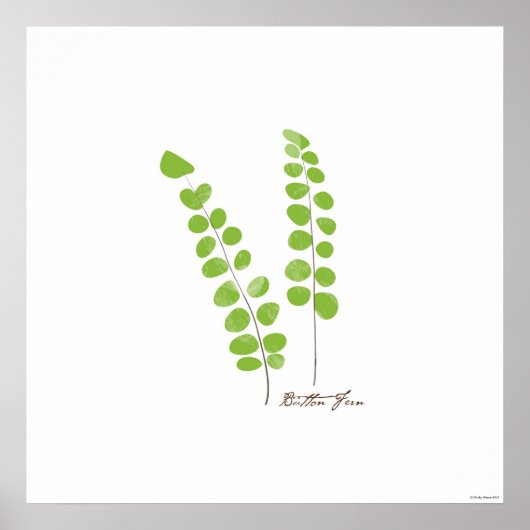 Poster Illustration Button Fern | Fern Botanical Print (Devant)