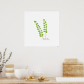 Poster Illustration Button Fern | Fern Botanical Print (Cuisine)