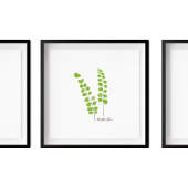 Poster Illustration Button Fern | Série Fern