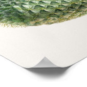 Poster Illustration Cactus (Coin)