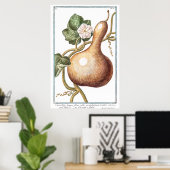 Poster Illustration Citrouille vintage par Giorgio Bonell (Bureau à domicile)