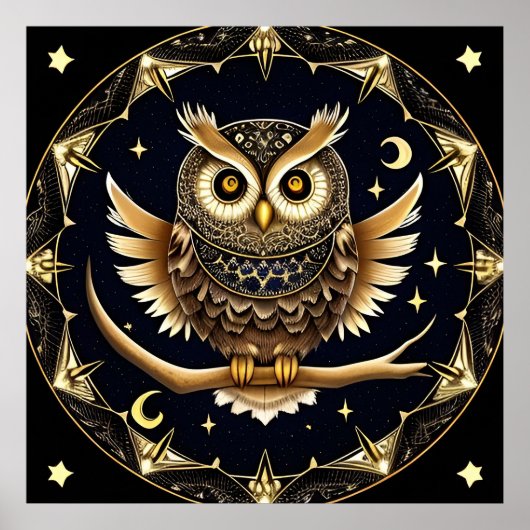 Poster Illustration complexe de hibou nocturne (Devant)