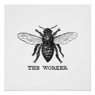 Poster Illustration d'abeille ouvrière vintage
