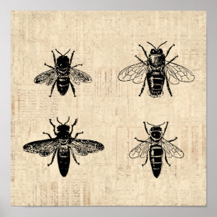 Poster Illustration d'abeilles Antique Bee Art Design Vin