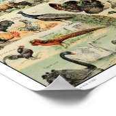 Poster Illustration d'animaux domestiques vintages (Coin)