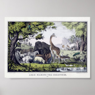 Poster Illustration d'animaux sauvages vintages