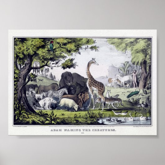 Poster Illustration d'animaux sauvages vintages (Devant)
