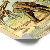 Poster Illustration d'animaux sauvages vintages (Coin)