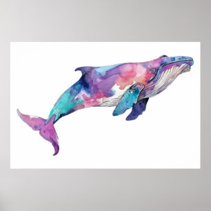 Poster Illustration de baleine colorée