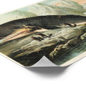 Poster Illustration de baleine vintage (Coin)