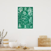 Poster Illustration de calmar vintage (Cuisine)