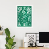 Poster Illustration de calmar vintage (Bureau à domicile)