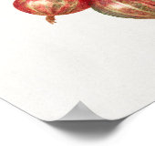 Poster Illustration de canneberges vintages (Coin)