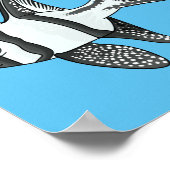 Poster Illustration de cardinalfish Banggai (Coin)