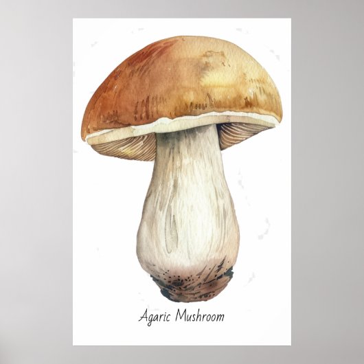 Poster Illustration de champignon d'aquarelle (Devant)