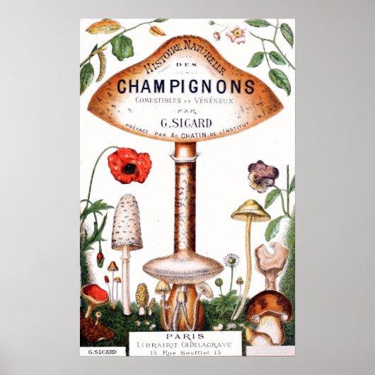 Poster Illustration de champignons français vintages (Devant)