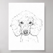 Illustration de chien caniche mignon, dessinée à l