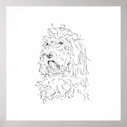 Poster Illustration de chien, Cockapoo d'art mural (Devant)