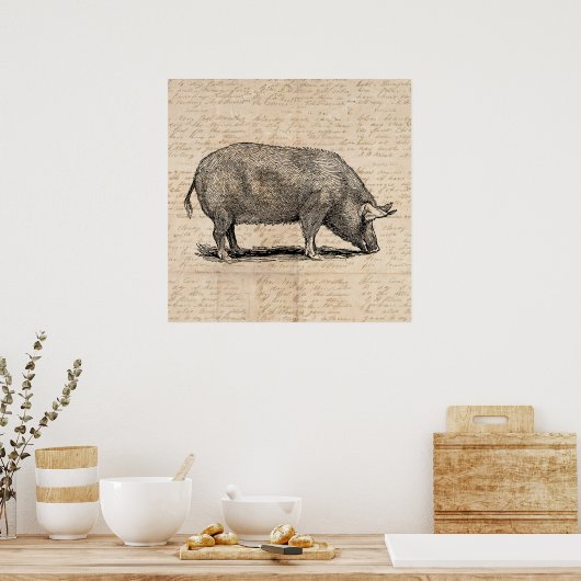 Poster Illustration de cochon Style de papier de script d (Cuisine)