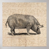 Poster Illustration de cochon Style de papier de script d (Devant)