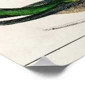 Poster Illustration de colibri vintage (Coin)