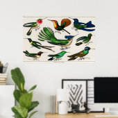 Poster Illustration de colibri vintage (Bureau à domicile)