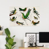 Poster Illustration de colibri vintage (Bureau à domicile)