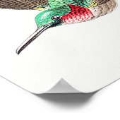 Poster Illustration de colibri vintage (Coin)