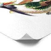 Poster Illustration de colibri vintage (Coin)