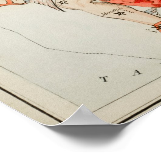 Poster Illustration de constellation vintage (Coin)