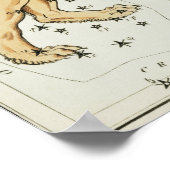 Poster Illustration de constellation vintage (Coin)