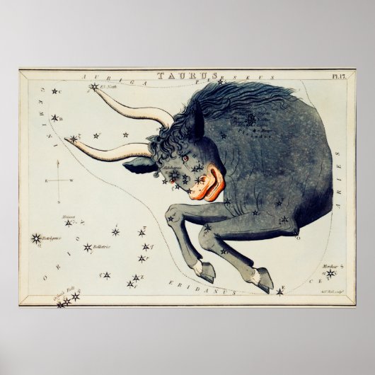 Poster Illustration de constellation vintage (Devant)