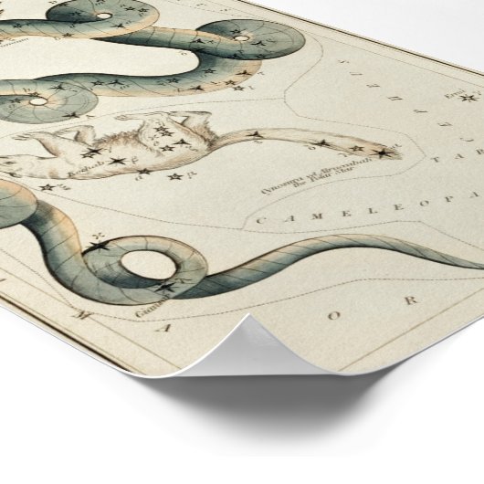 Poster Illustration de constellation vintage (Coin)