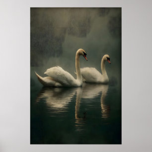 Poster Illustration de couple de cygnes antiques, Art mur