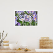 Poster Illustration de crocus de ressort (Cuisine)