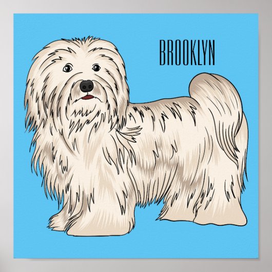 Poster Illustration de dessin de chien de Havan (Devant)