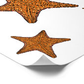 Poster Illustration de dessin de Starfish (Coin)