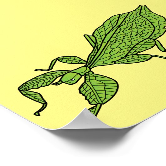 Poster Illustration de dessin d'insecte des feuilles vert (Coin)
