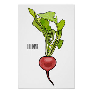 Poster Illustration de dessin Radish