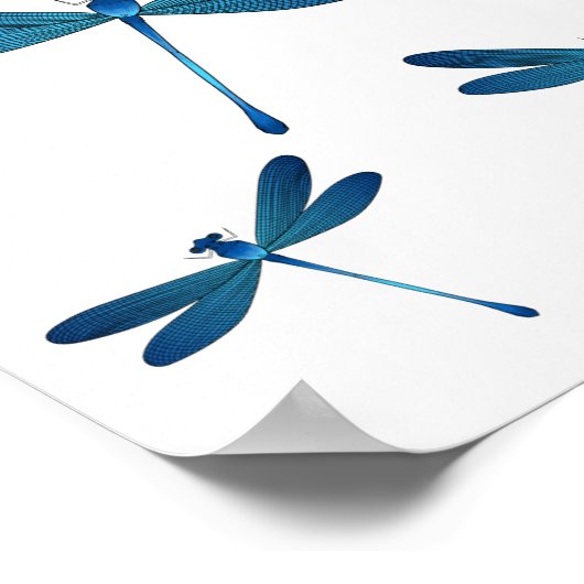Poster Illustration de dragonfly (Coin)