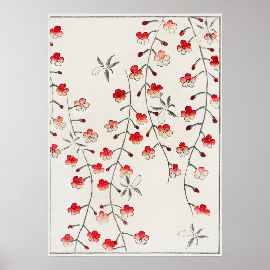 Poster Illustration de fleurs de cerisier. Amélioré numér (Devant)
