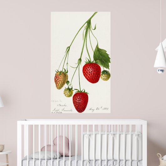 Poster Illustration de fraise vintage (Pépinière 2)